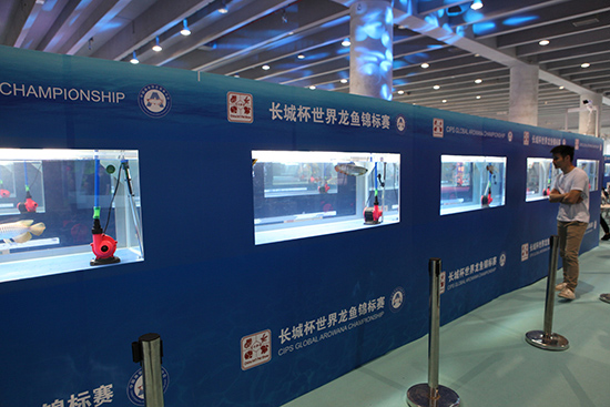 1603869791335255.jpg 7.jpg