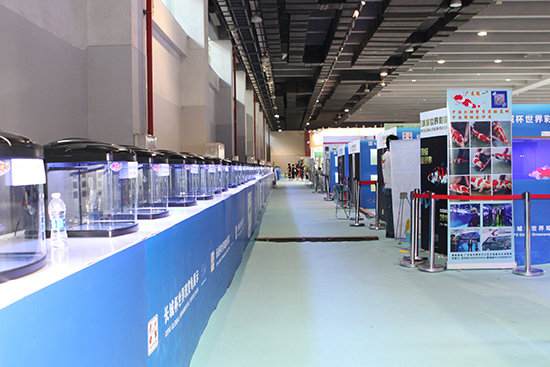 1603869826251602.jpg 14.jpg