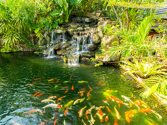 1603879395271082.jpg 00.jpg