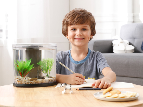 1604138373726701.jpg 未標題-2.jpg