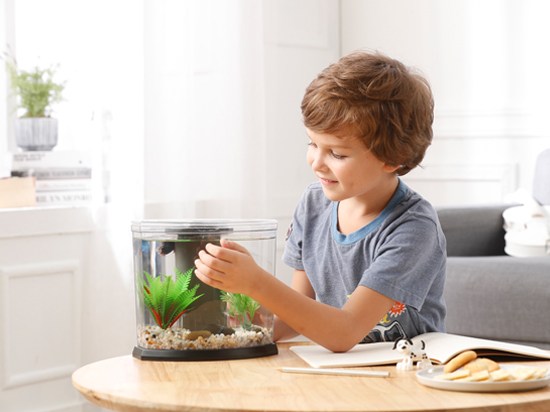 1604143760488140.jpg 未標題-2.jpg