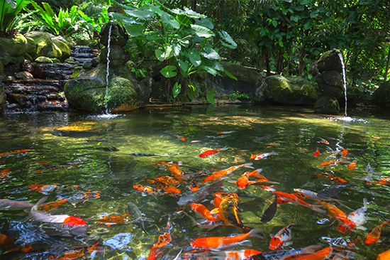 1604644013486558.jpg 02.jpg