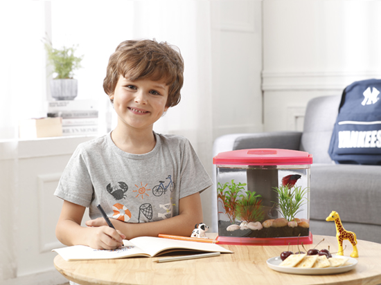 1604655151667617.jpg 10.jpg