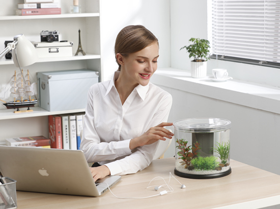 1604655708385407.jpg 14.jpg