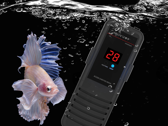 1669163395285502.jpg 1603942922376685.jpg